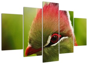 Színes madár képe (150x105 cm)