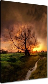 Vászonkép 80x120 Tölgy a croissant-ban Nyugat