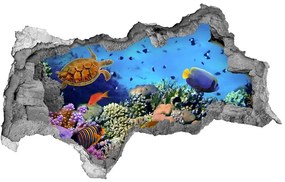 3d lyuk fal dekoráció Korallzátony nd-b-35544351
