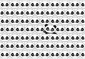 Panda flizelin fotótapéta Fekete-fehér macik betűkkel 416x254 +ragasztó