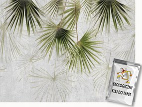 Fotótapéta Flizelina Fal Beton Természet Növények Levelek Pálma 400x280 ragasztó