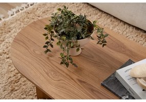 Kávésasztal OVAL 60x120 cm barna