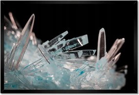 Poszterek keretben 60x40 Makrofotó MacroFoto