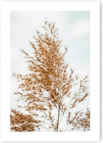 Boho fű bézs poszter B1 100x70cm #20B
