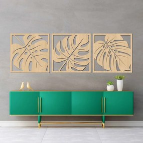 Természetes monstera faldekoráció | SELERE