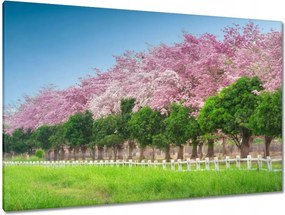 Festmények 120x80 Cseresznyés tájkép