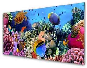 Modern üvegkép Barrier Reef Nature 140x70 cm