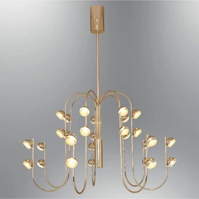 Aster - 2843-28A-03