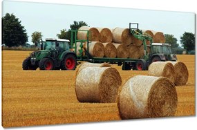 Vászonkép 120x70 Aratás Szalma Bálna Traktorok
