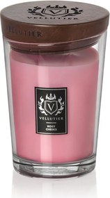 Vellutier Nagy illatgyertya Rosy Cheeks
