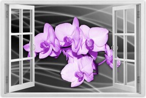 Poszter 60x40 Szép orchidea virág