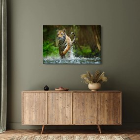 Futó tigris képe (90x60 cm)