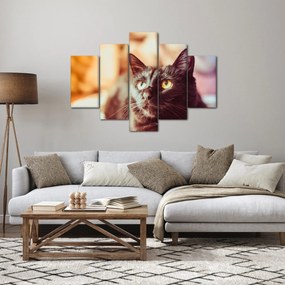 Fekete macska képe (150x105 cm)