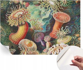 Dekoratív öntapadós fotótapéta irodába Fantázia anemonák 152x104 cm