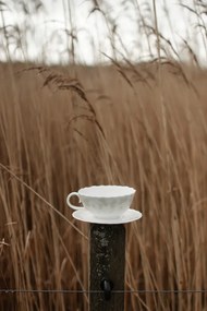 Szürke teás bögre csészealjjal 30 cl Slåpeblom kollekció - Wik & Walsøe