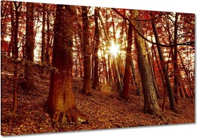 Festmények 120x80 Tájkép Látvány