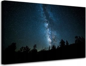 Vászonkép Kozmosz Éjszaka Erdő Köd Természet Csillagászat 80x50