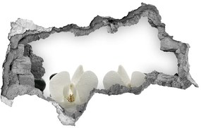 3d lyuk fal dekoráció Orchidea nd-b-49248021