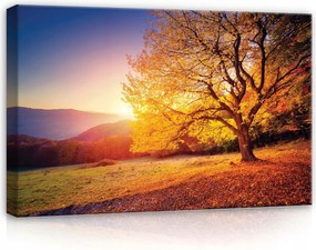 Vászonkép 60x40 Őszi táj naplemente arany fény magányos fa
