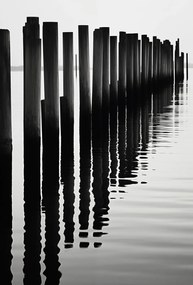 Poszter 67,5x100cm Víz és fa ritmus