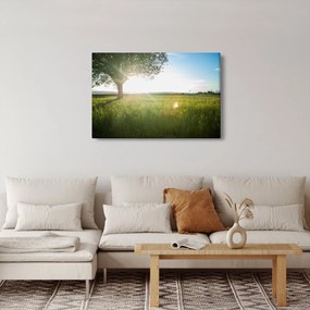 Nyári rét képe (90x60 cm)