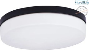 Mennyezeti Lámpa Fekete MAXLIGHT C0194