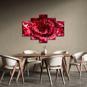 Vörös rózsa virágzata képe (150x105 cm)