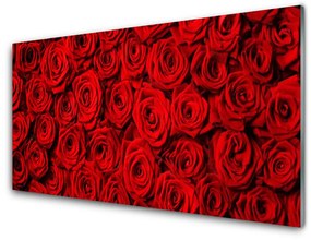 Fali üvegkép Roses A Wall 100x50 cm