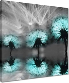 Vászonkép 40x40 Türkiz pitypangok Víz