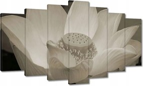 Vászonkép 140x80 Lótusz Lótuszvirág