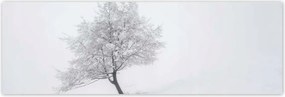 Poszterek 200x66 Fa Kilátás