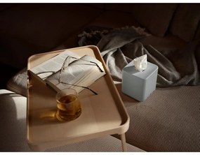 Műanyag zsebkendőtartó Ume – Zone