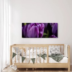 Tulipán vírág képe (120x50 cm)