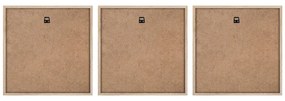 Kép szett 3 db-os 30x30 cm Pampas – Styler