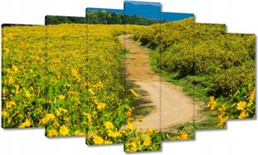 Festmények 140x80 Vidéki tejút