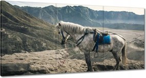 Festmények 180x90 Ló expedíció a hegyekbe