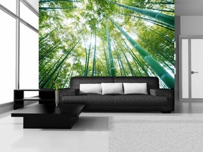 Bambusz erdő poszter, fotótapéta, Vlies (104 x 70,5 cm)