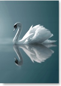 Hattyú Kék Boho poszter 30x40 cm nyomtatás #220