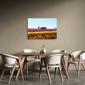 Tulipánfarm képe (üvegen) (70x50 cm)