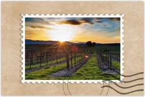 Poszterek 60x40 Szőlőbirtok Tájkép