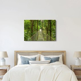 Kép - Függőhíd (90x60 cm)