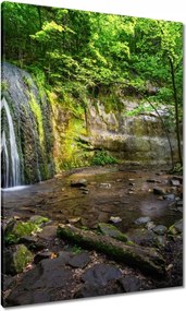 Vászonkép 70x100 Trópusi erdő vízesés