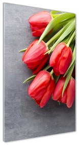 Egyedi üvegkép Piros tulipánok osv-99719823
