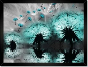 Poszterek keretben 40x30 Kék pitypangok