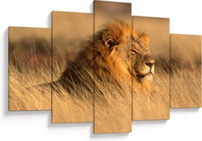 Kép - Etosha Nemzeti Park (150x105 cm)