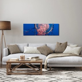 Medúza képe (órával) (90x30 cm)