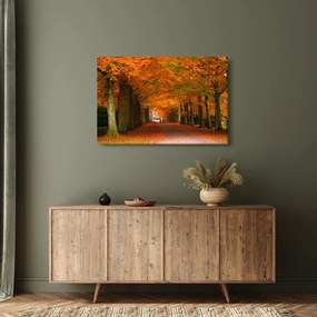 Kép - A Avenue of fák ősszel (90x60 cm)