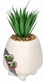 Művirág Cserépben Virág Növény Pozsgás Dekoráció 16cm