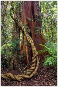 Poszterek 80x120 Tájkép Látvány