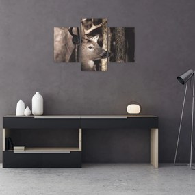 Kép - Szarvas az erdőben (90x60 cm)